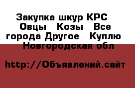 Закупка шкур КРС , Овцы , Козы - Все города Другое » Куплю   . Новгородская обл.